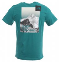 The North Face Herren T-Shirt - Grün